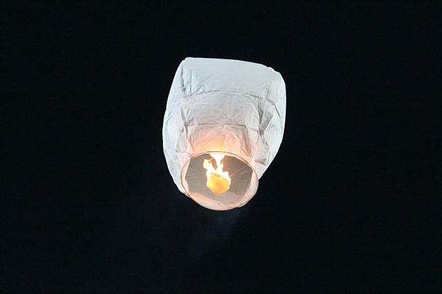 IMG 4884