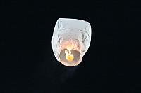 IMG 4884