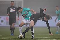 Alisic